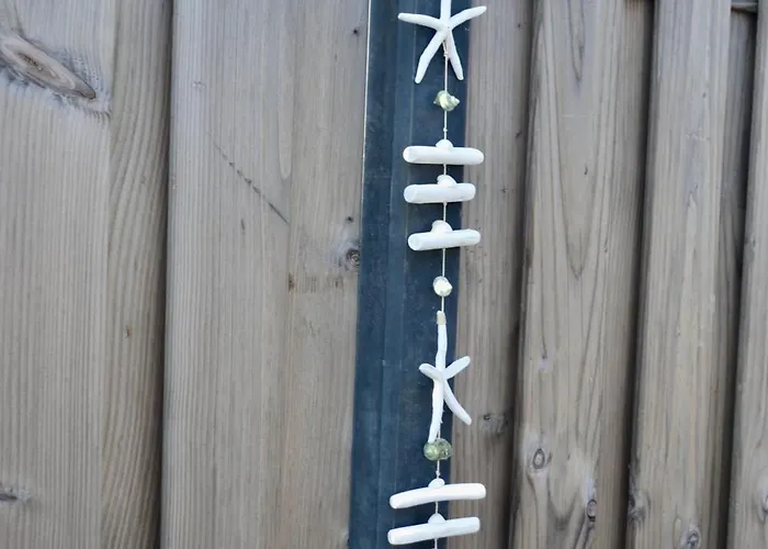 公寓 27 赞德沃特